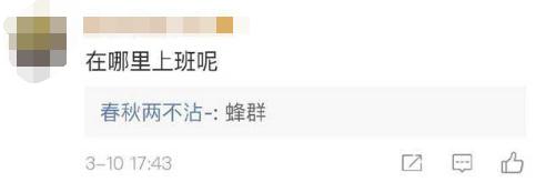 她消费了22万网友的同情心，直到把自己送进看守所