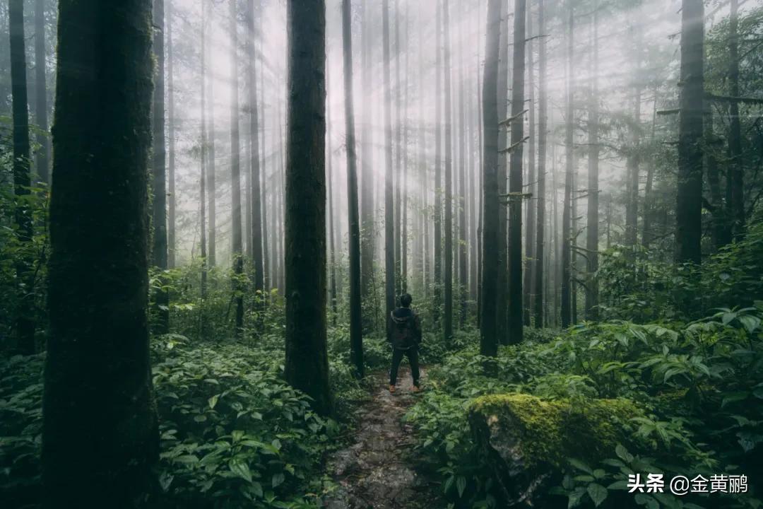 为什么云南女人长相好看,云南真的很漂亮吗