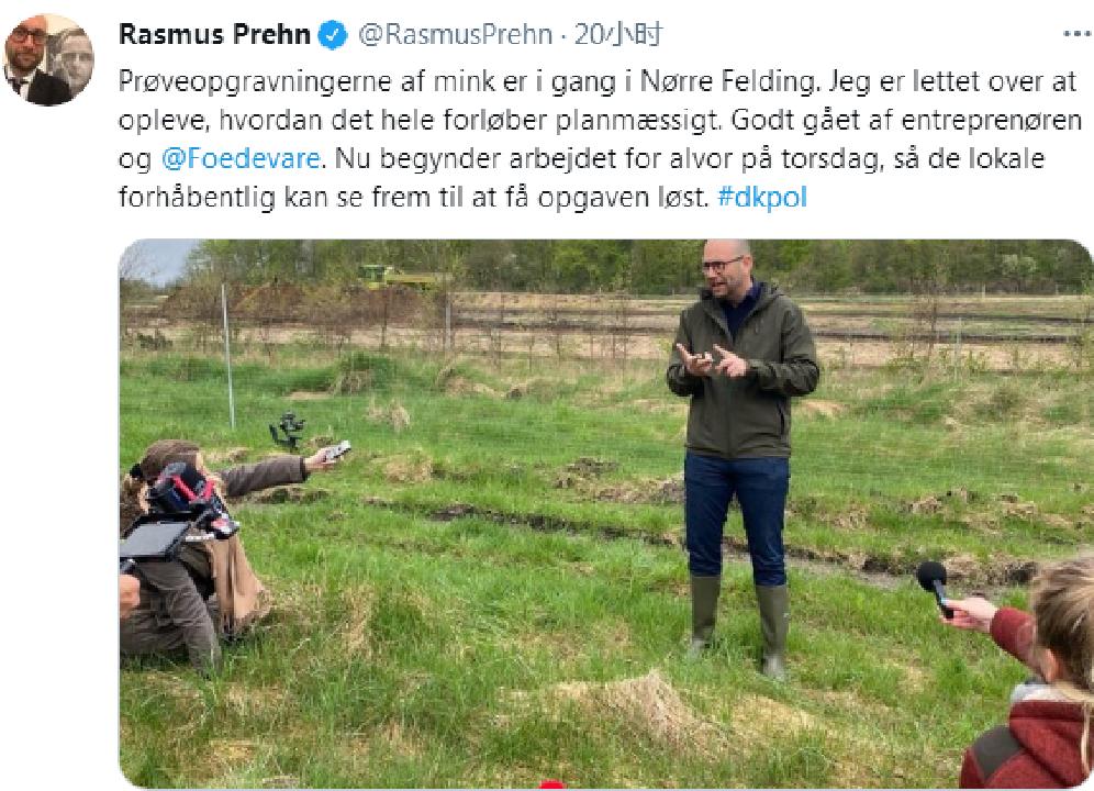 丹麦水貂感染新冠病毒,丹麦水貂感染新冠