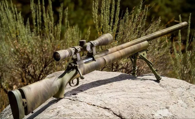 世界十大射手步枪排名,世界近距离射手步枪大全