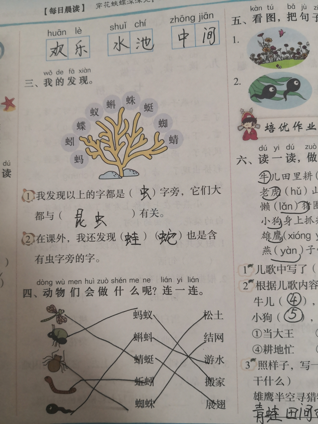 语文一年级下册动物儿歌课堂笔记,一年级下册第五课动物儿歌字词