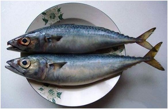 看图识海鲜，这些水产海鲜你都认识吗？