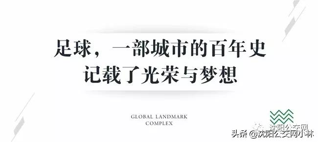 再见小虎队完全版,怀念辽小虎