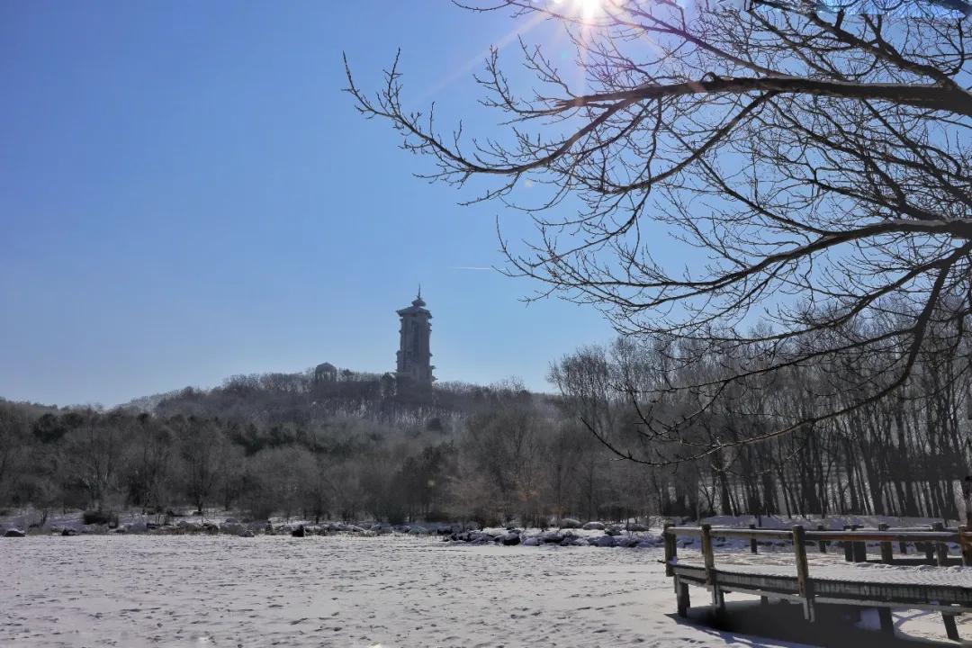 净月潭今天营业吗,净月潭景区开园了吗