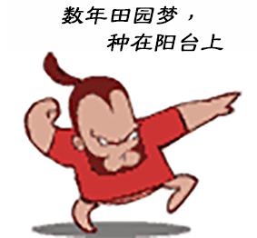 梨树盆景的寓意,梨树盆景大全欣赏