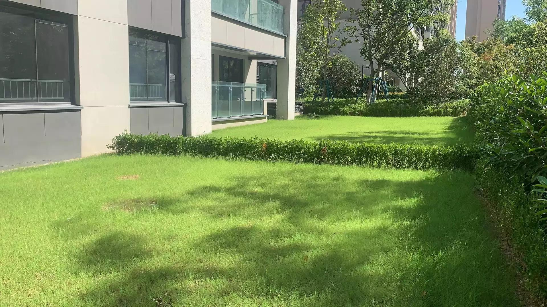 未来别墅或将成为富人区,未来城市别墅吃香吗