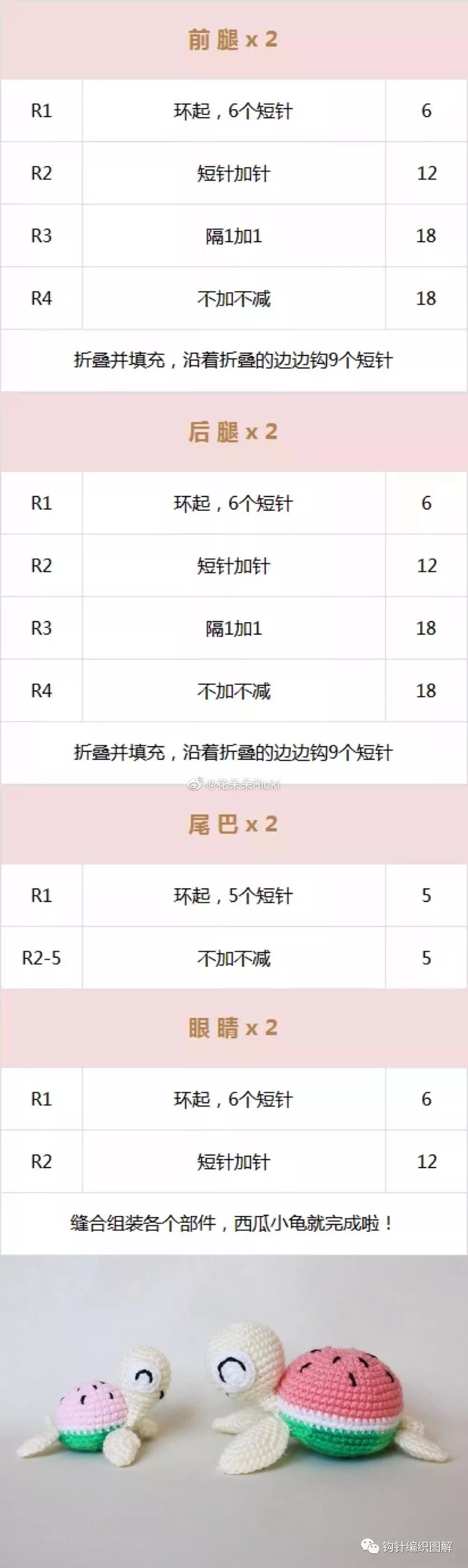 粉丝小海龟,粉丝团小乌龟