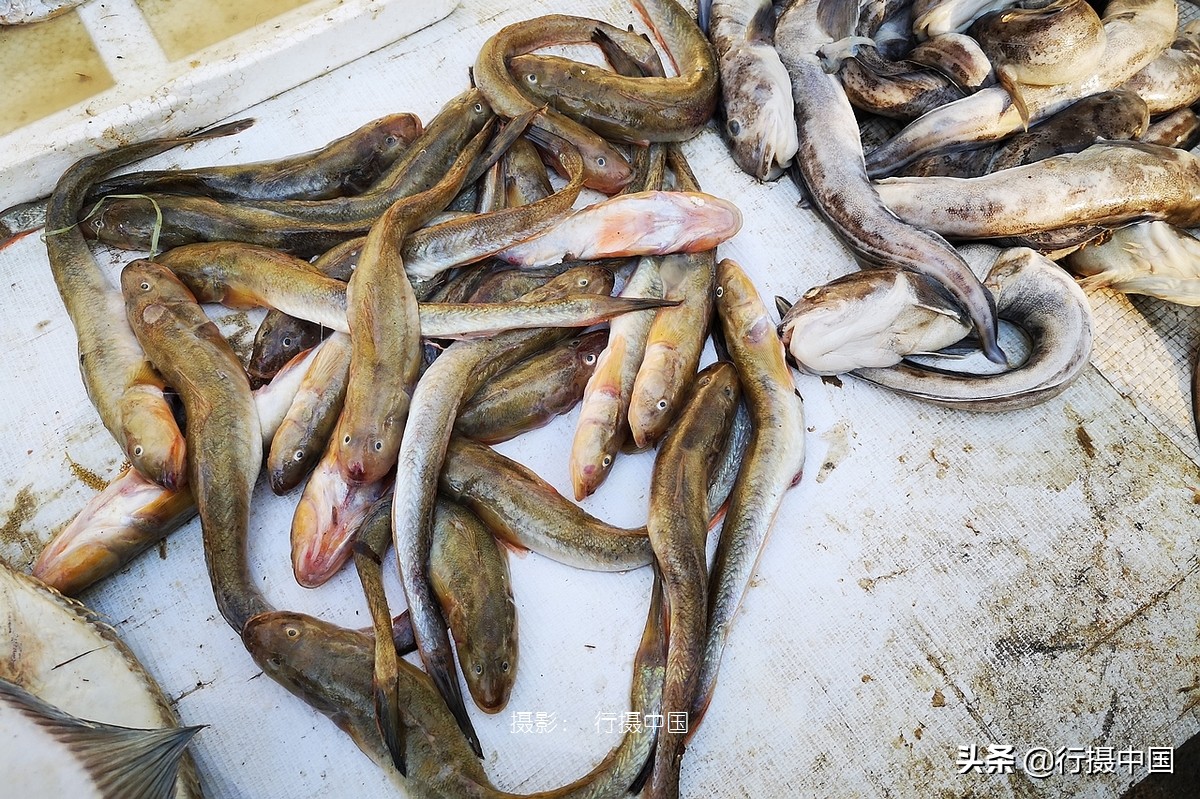 辽宁一座被遗忘的地方,辽宁沈阳东北第一城
