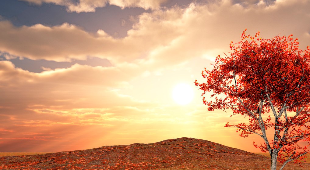 拼多多无货源开店新手入门,拼多多提高店铺权重的方法