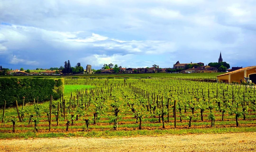 红酒为啥要波尔多,波尔多红酒有什么好处和坏处