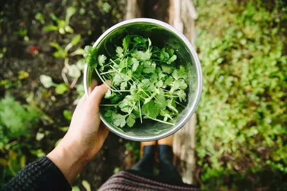 凉拌凉面和凉皮一起怎么做好吃,凉菜调料汁最详细配方凉拌面