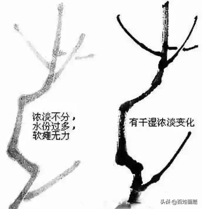 国画梅花画法视频,徐湛梅花画法教程
