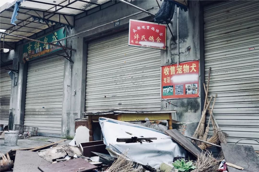 成都黄田坝鸟市在哪里,成都黄田坝鸟市