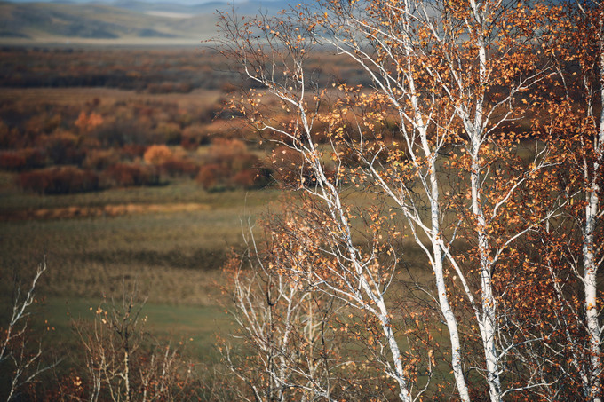 自驾呼伦贝尔｜七千里路云和月，写给秋天和自己的故事
