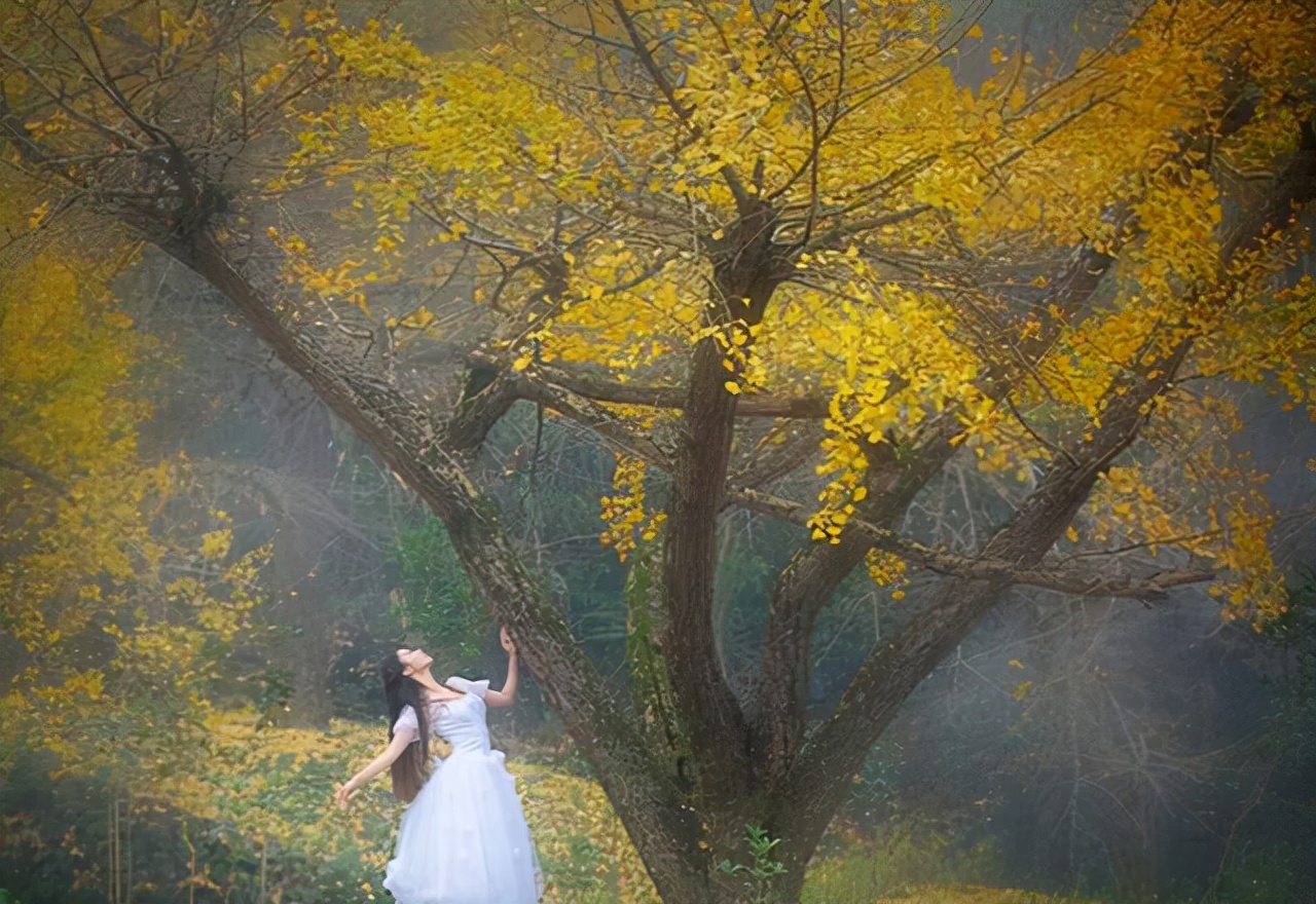 天地英雄气千秋尚凛然读后感300字,天地英雄气千秋尚凛然的文章600字