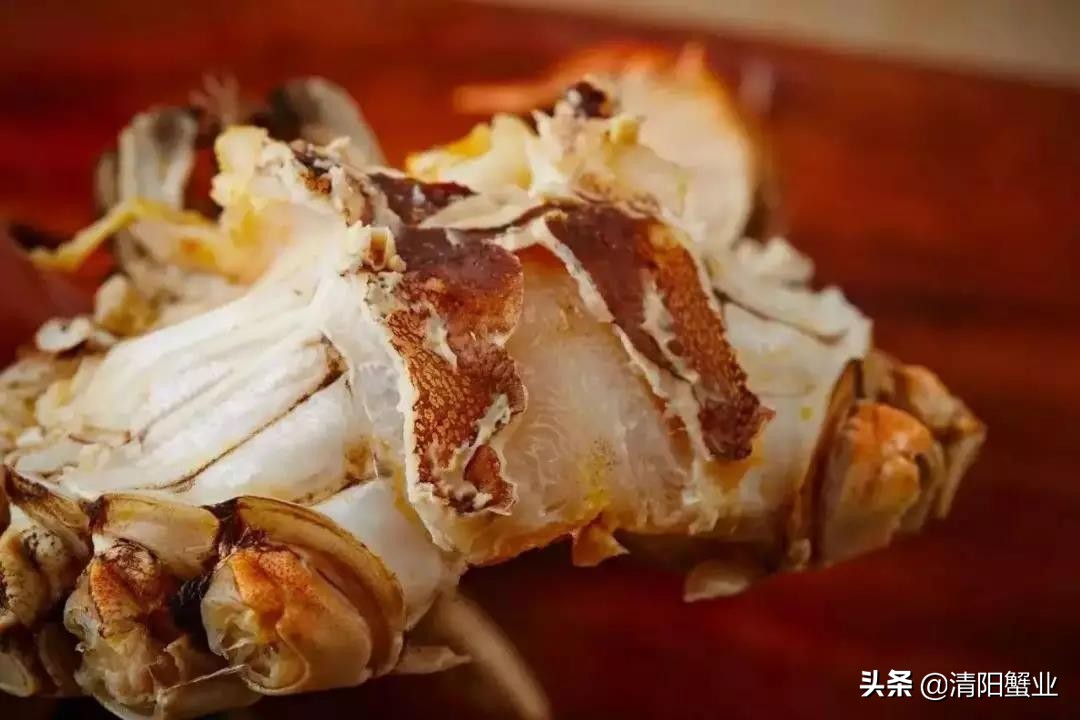 怎么分出公蟹和母蟹的区别,如何选公蟹和母蟹的区别