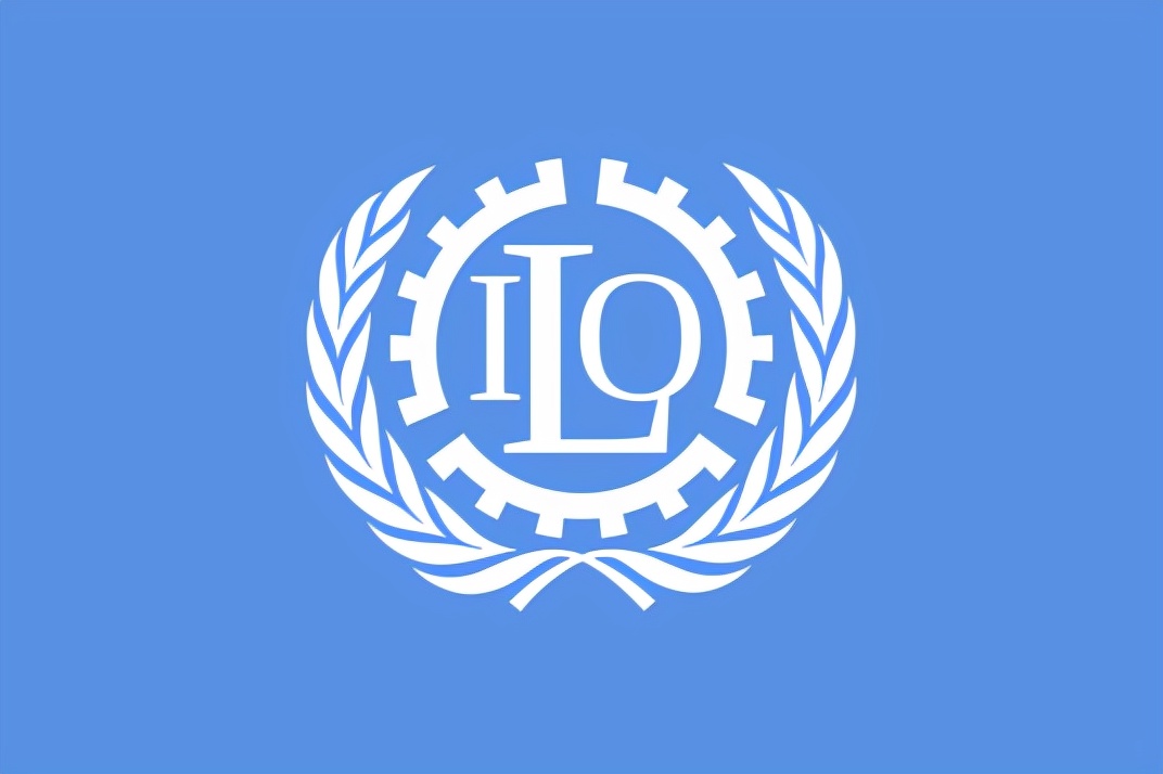 国际组织旗帜标志一览,象征世界和平的国际组织旗帜