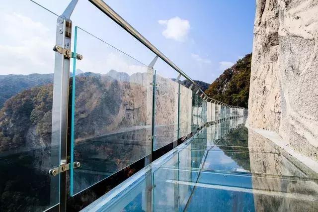 【招标公告】洛阳白云山旅游度假区农副产品统一采购招标！