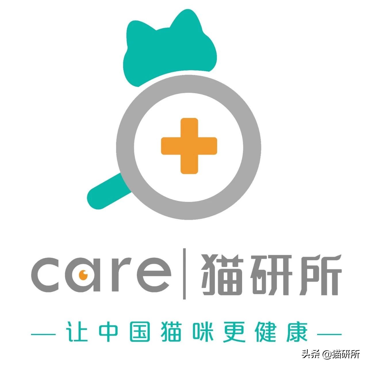 专业宠医答疑：新猫进家前必做的6项体检，万万不可少！