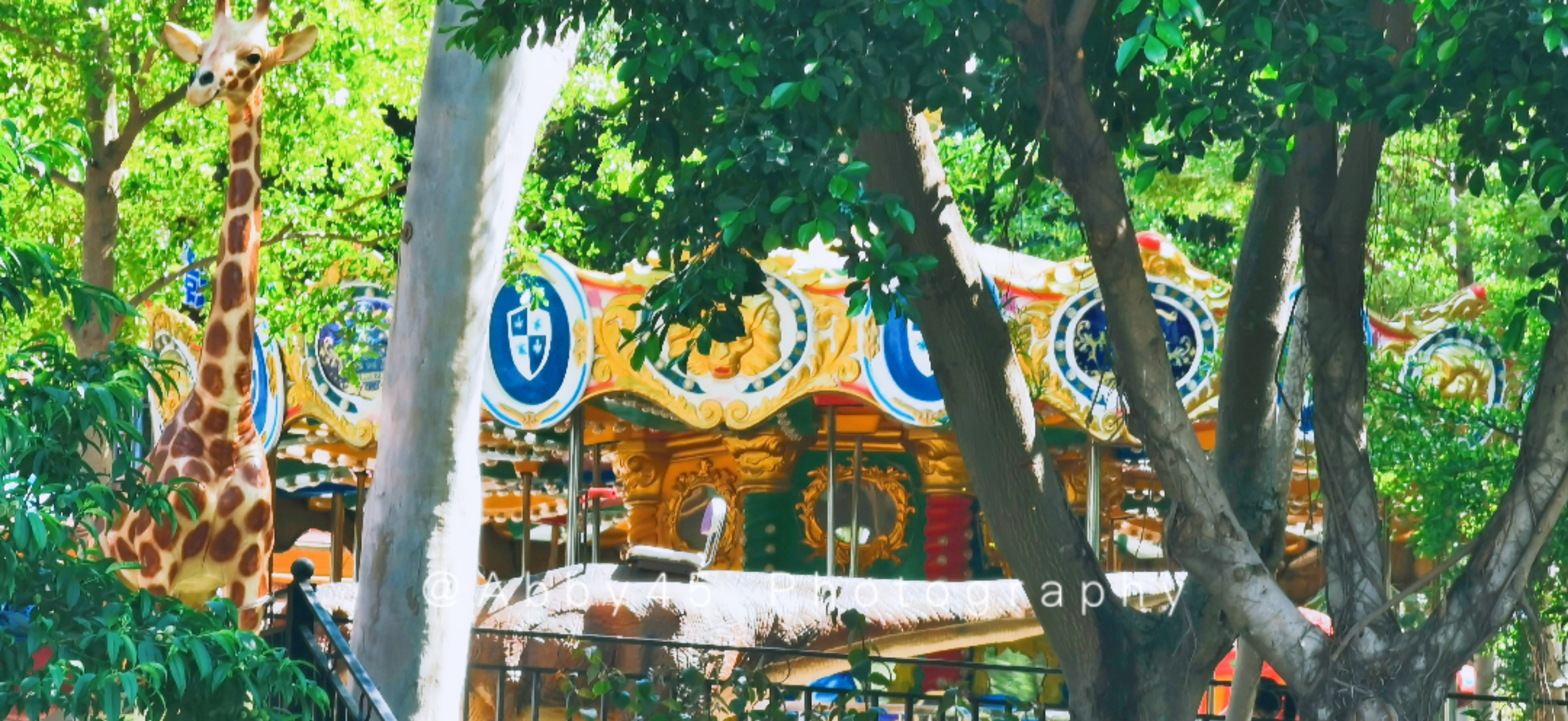在厦门最合适小朋友玩的地方,厦门合适小朋友玩的地方推荐