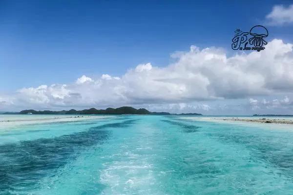 真实帕劳,帕劳的真实体验