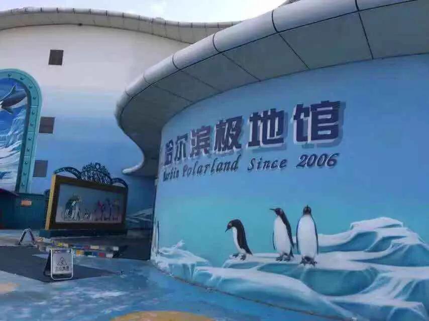 哈尔滨极地馆2期游玩攻略,哈尔滨极地馆动物视频大全