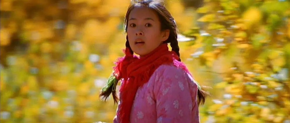 圈内导演如何评价张艺谋,如何评价张艺谋英雄