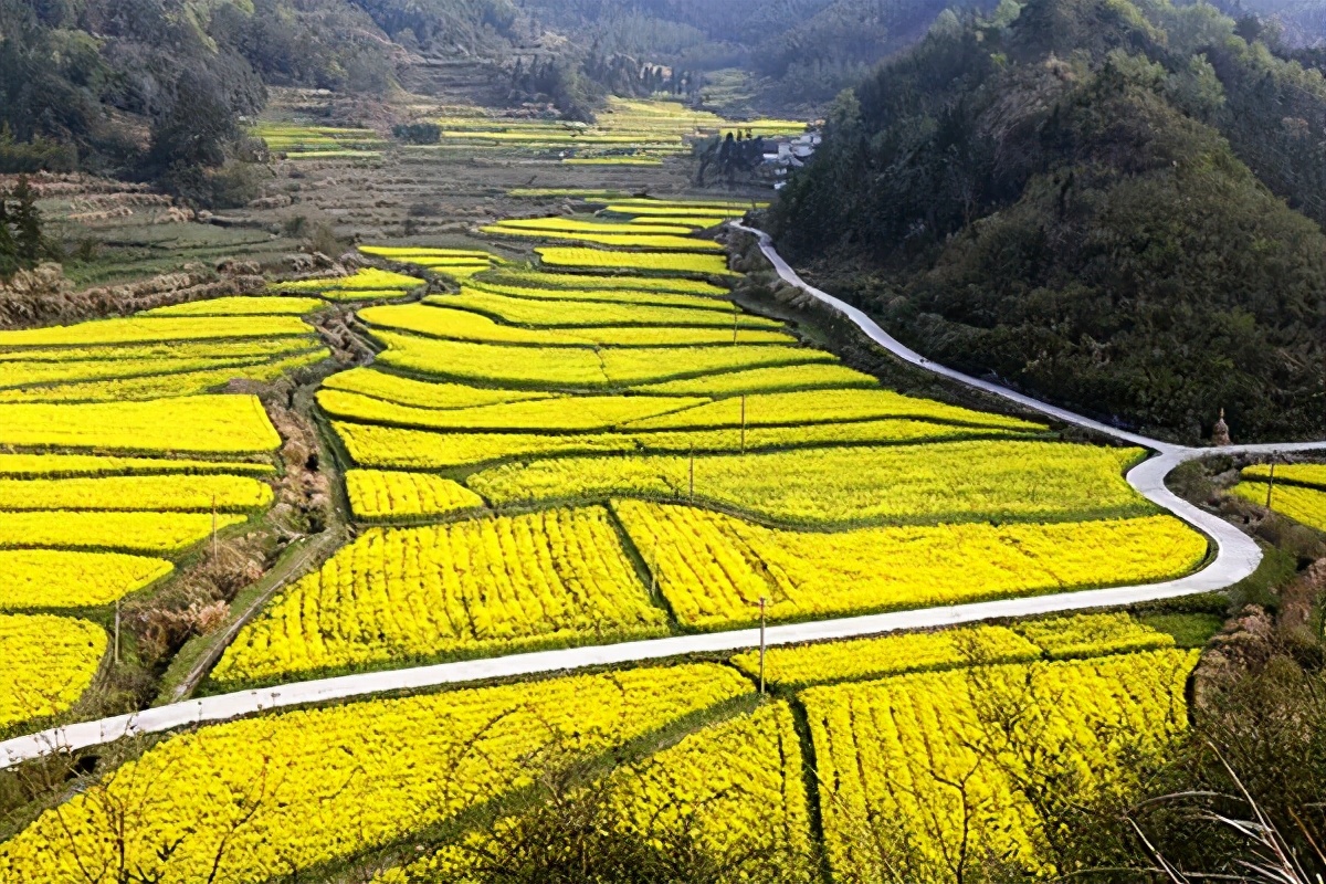 长三角城市群最佳旅游线路,长三角示范区旅游详细攻略