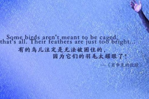 电影肖申克的救赎人物分析完全版,电影肖申克的救赎具体情节介绍
