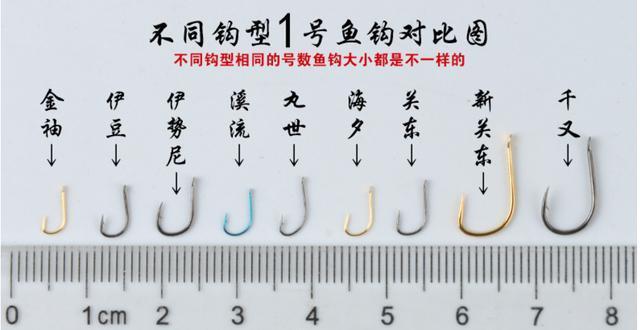 新手钓鱼入门基本知识零基础,新手学习钓鱼入门基本知识