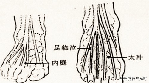 奇经八脉重点穴位,灵龟八脉交会穴的准确位置图