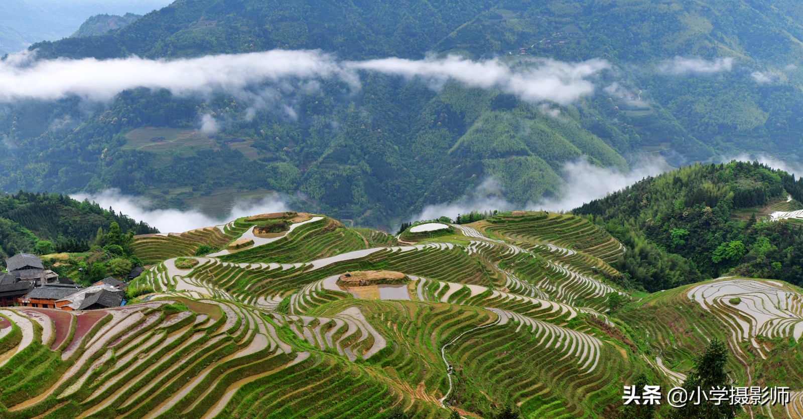 尼康半画幅广角镜头18-35样张,尼康18-35银广角新旧对比