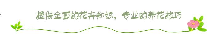 农村家里常见的蜈蚣,农村野生蜈蚣咋养