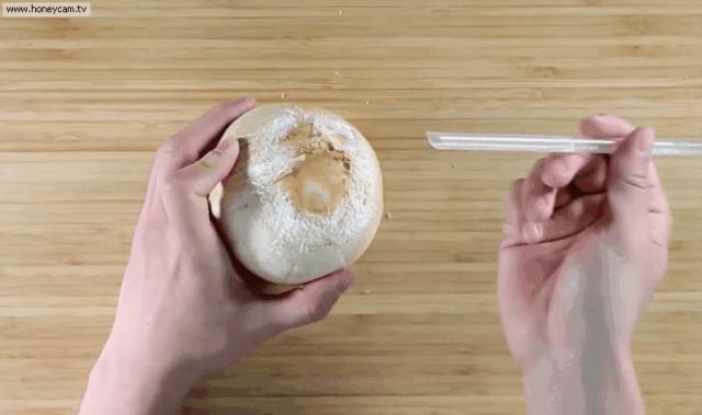 开椰子用口香糖,用口香糖开椰子告诉我们什么道理