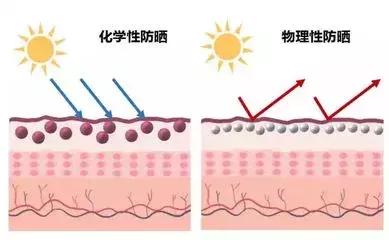 防晒知识的介绍,防晒霜怎么选才能真正防晒