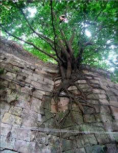 中国城市路网地图,中国城市纵览广东省深圳市