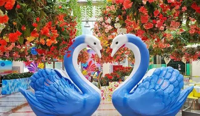 去百万葵园旅游,带小孩去百万葵园玩