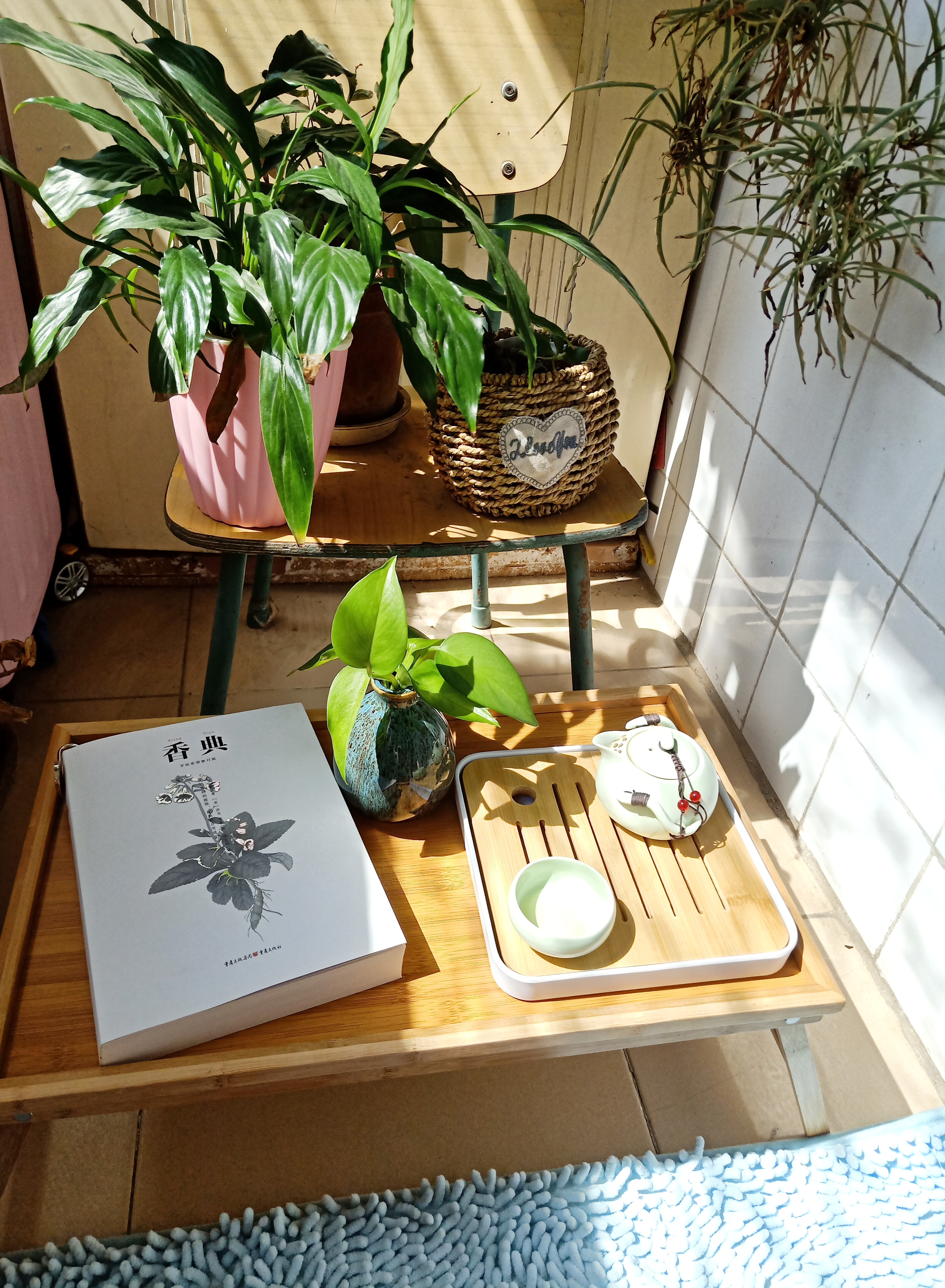 春日里的阳台书房