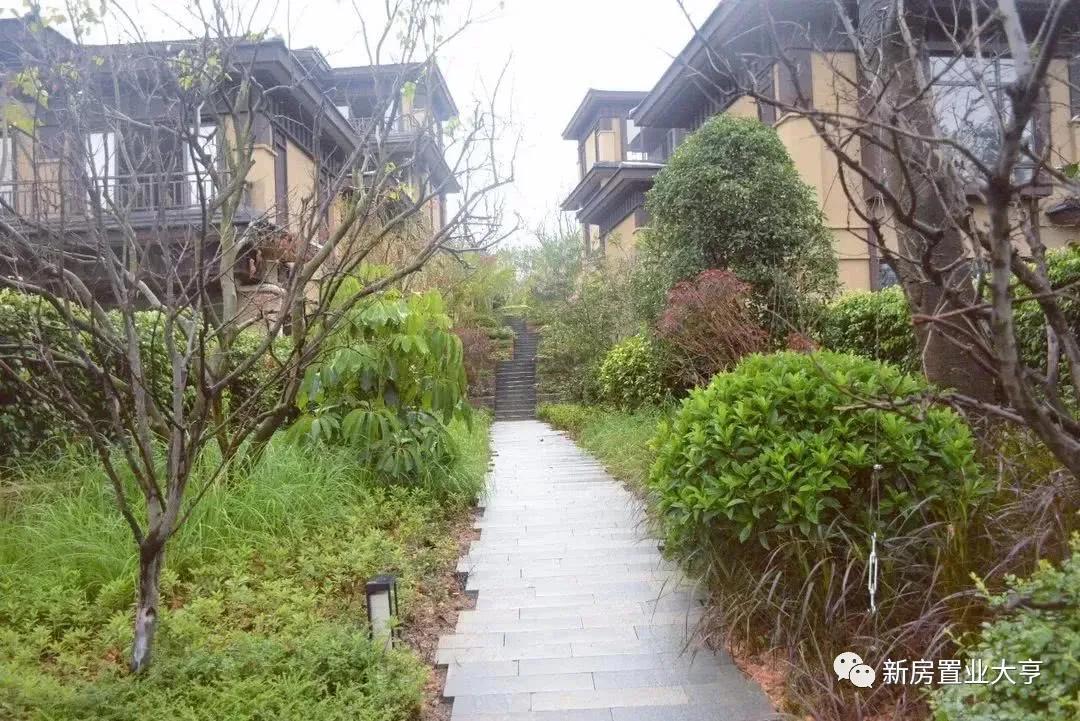 佛山高明绿地拾野川漫野日式别墅,佛山绿地拾野川星河度假民宿