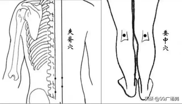 便秘腰后背痛,感冒后肩颈酸痛多久能够缓解