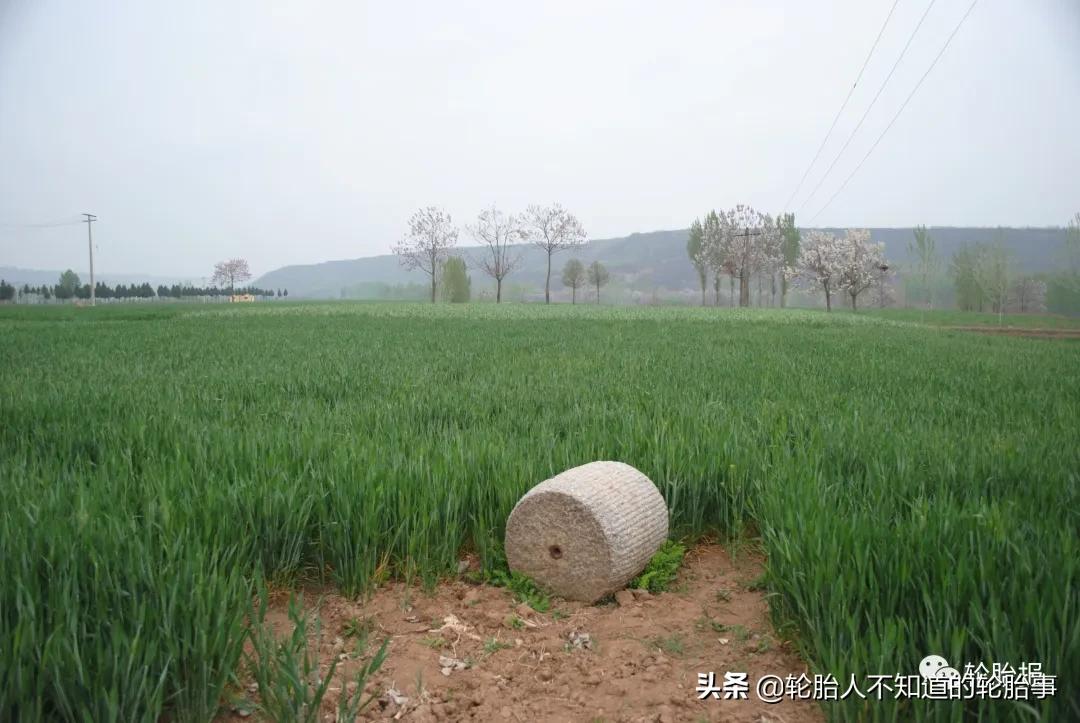陕西补胎鼻祖王文会的故事,陕西补胎大王王文会
