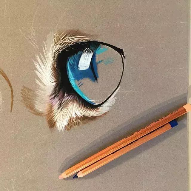 彩铅不会涂色怎么办,彩铅绘画干货