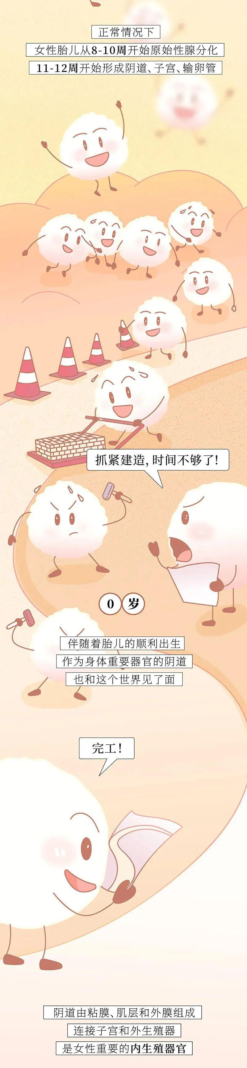 关于“阴道”，女人知道多少？（漫画）