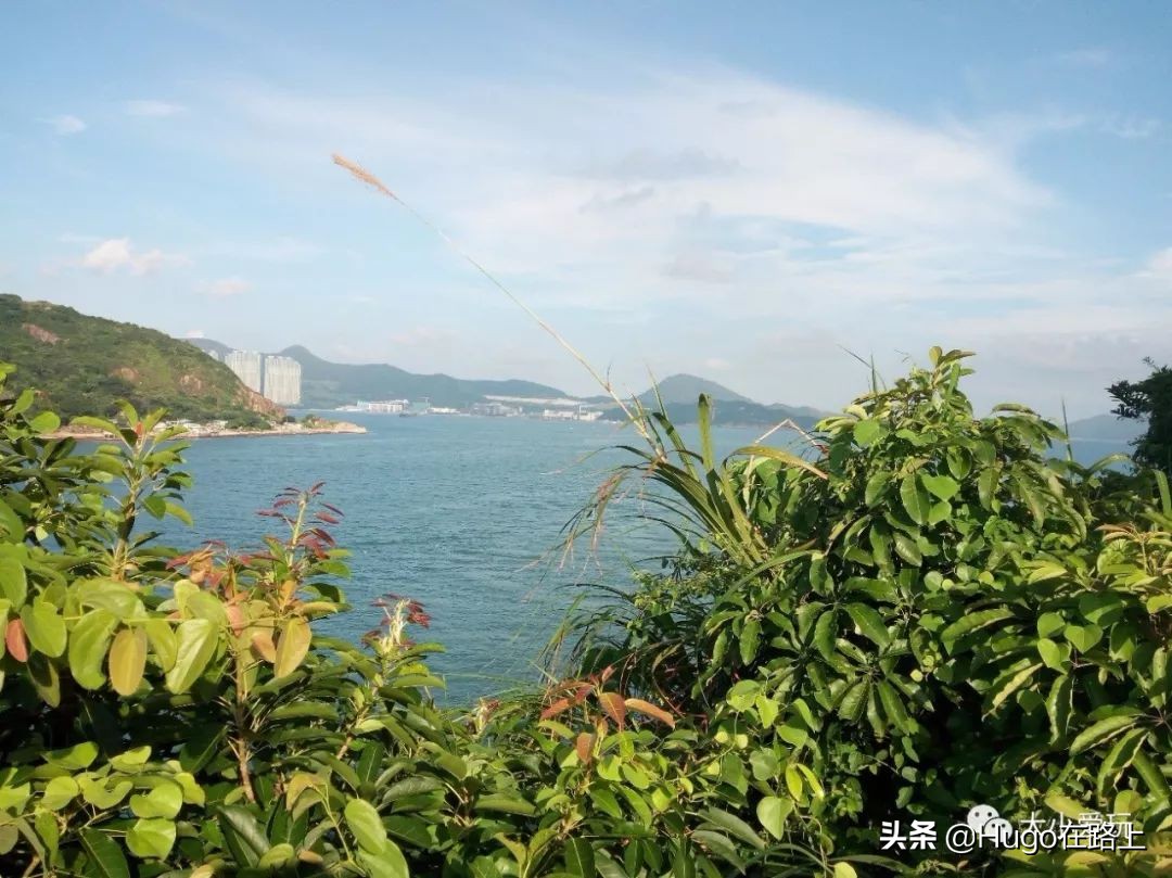 去香港亲子旅行攻略路线图片,香港亲子游最佳路线图