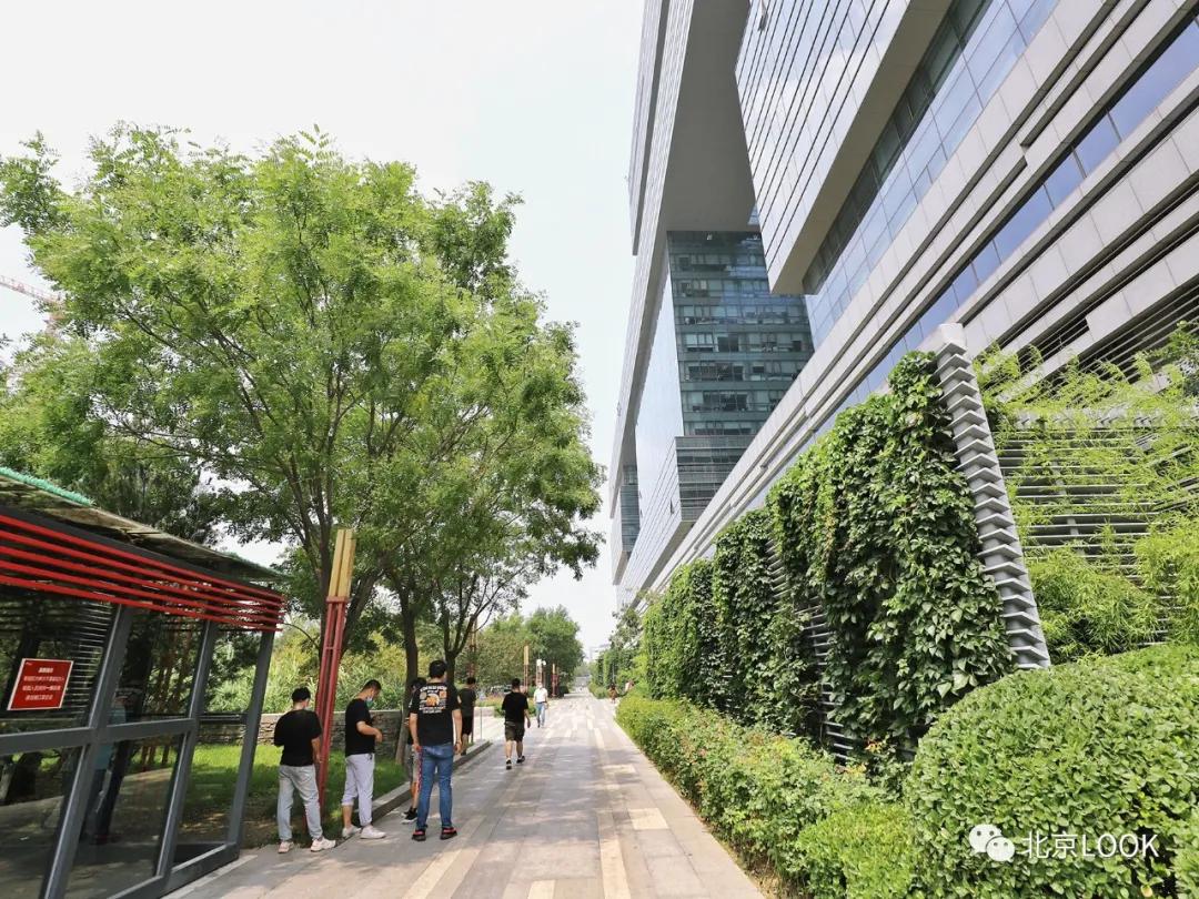 别人家的公司还招人,别人家的公司还招人吗