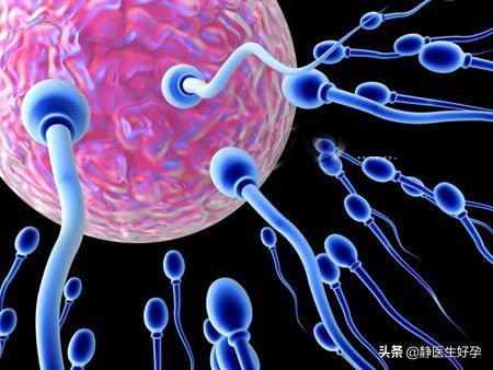 排卵期怎么提高精子质量好,排卵期前需要保持精子浓度吗