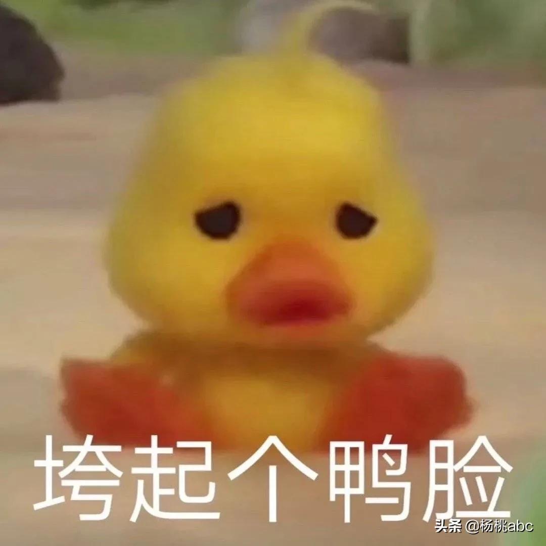 Letsgo!｜这个地方竟然这么多综艺节目抢着去？