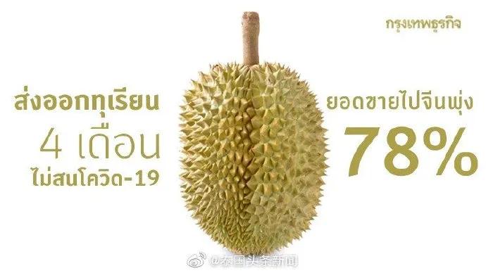 泰国榴莲几月大量上市,泰国出口中国榴莲年交易量