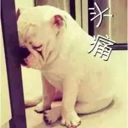 湖北最难懂方言排行榜,湖北最难听懂的方言排名