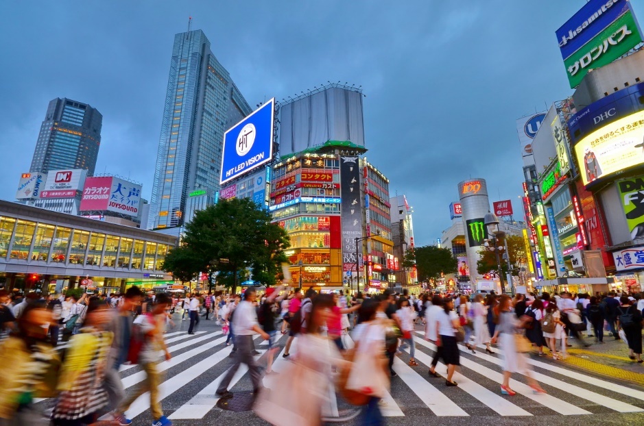 内卷和内循环的区别,内卷就是内循环吗